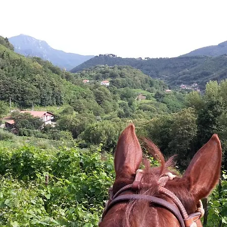 Cantina Del Casale Alojamento de Acomodação e Pequeno-almoço 3*